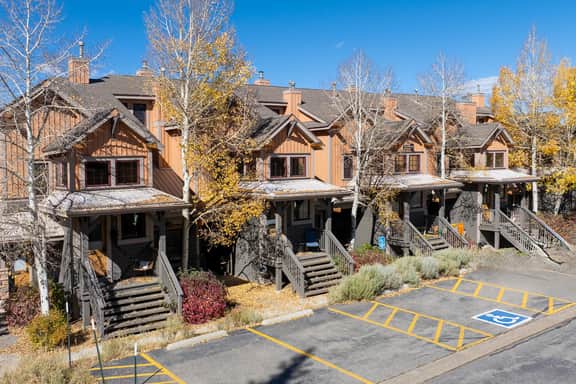 Kicking Horse Palomino 7-302 - Image 4
