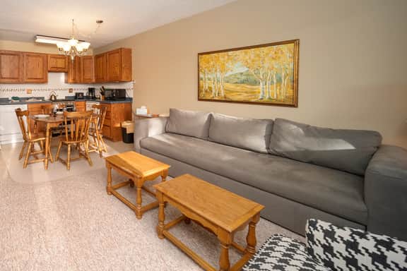 Hi Country Haus Unit 0309 - Image 3