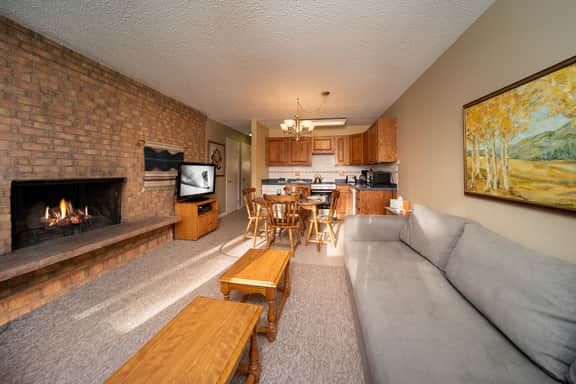 Hi Country Haus Unit 0309 - Image 4
