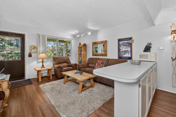 Hi Country Haus Unit 1114 - Image 3