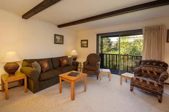 Hi Country Haus Unit 2111 - Image 1